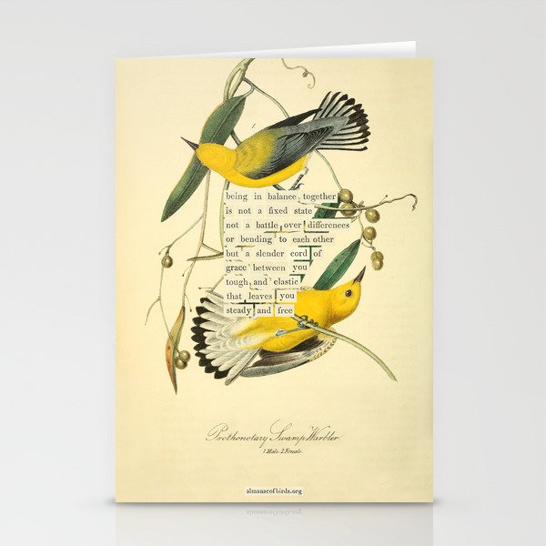 Bird Divinations: Prothonotary swamp warbler (about: almanacofbirds.org) Stationery Card