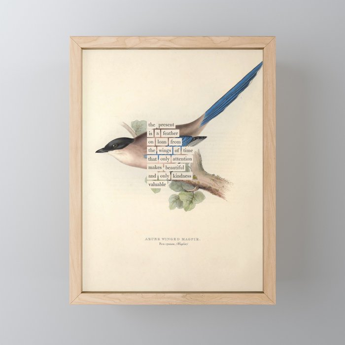 Bird Divinations: Azure Magpie (about: almanacofbirds.org) Mini Art Print