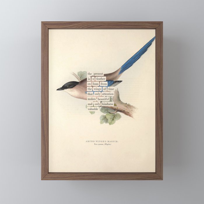 Bird Divinations: Azure Magpie (about: almanacofbirds.org) Mini Art Print