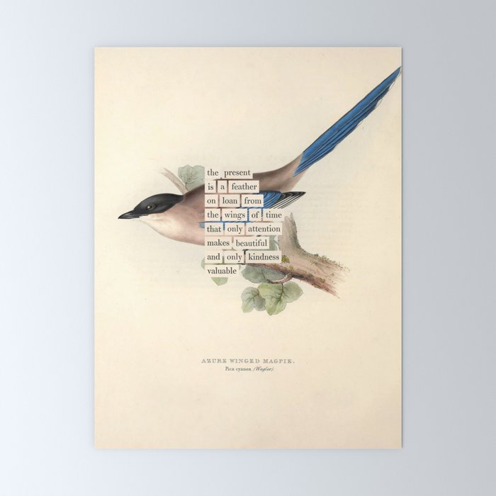 Bird Divinations: Azure Magpie (about: almanacofbirds.org) Mini Art Print