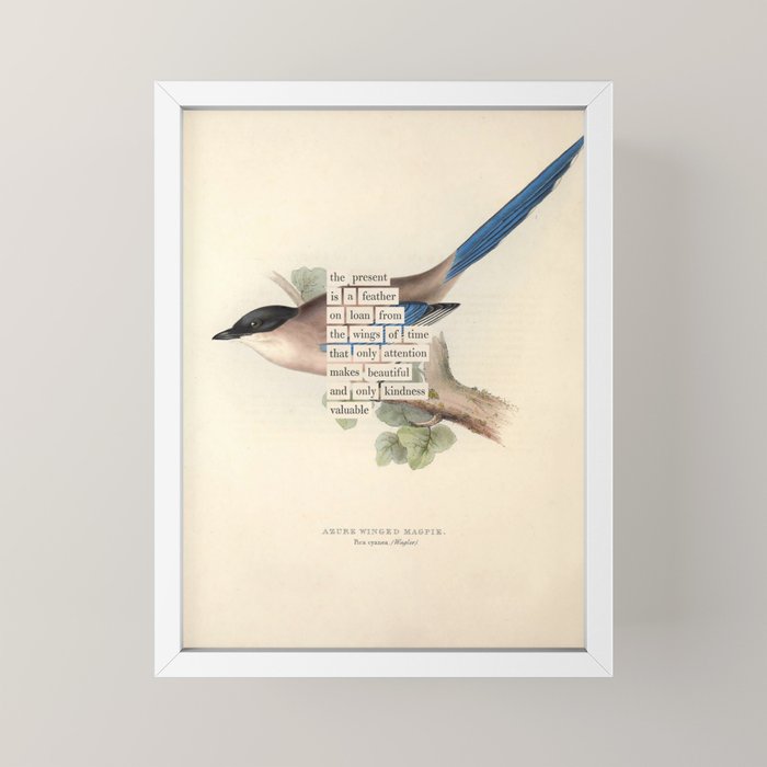 Bird Divinations: Azure Magpie (about: almanacofbirds.org) Mini Art Print