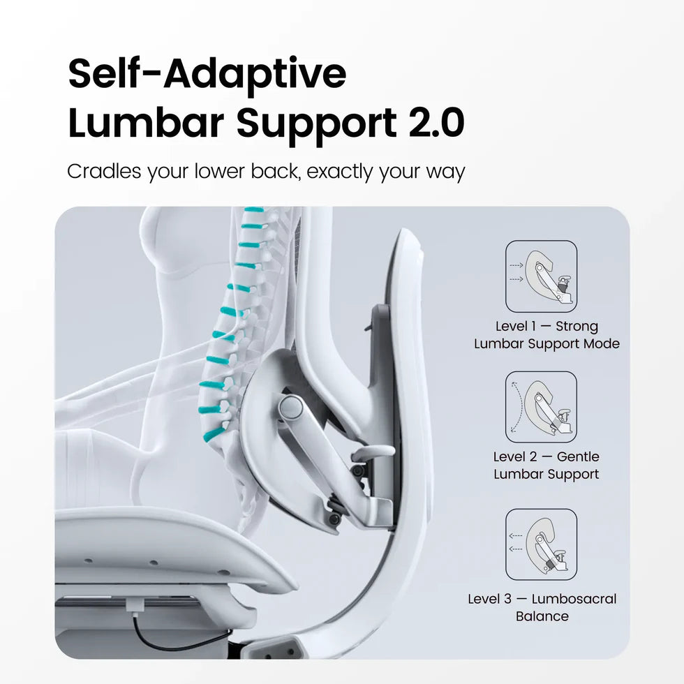 Doro C300 Pro V2 Full-Body Adaptive Ergonomic Chair