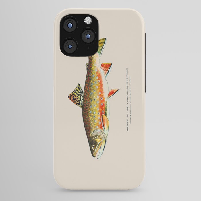 Brook Trout iPhone Case