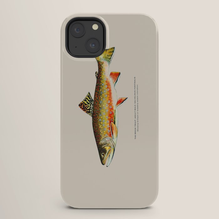 Brook Trout iPhone Case