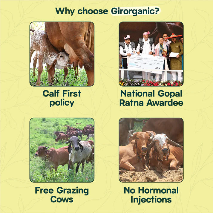 Pure & Organic A2 Gir Cow Ghee