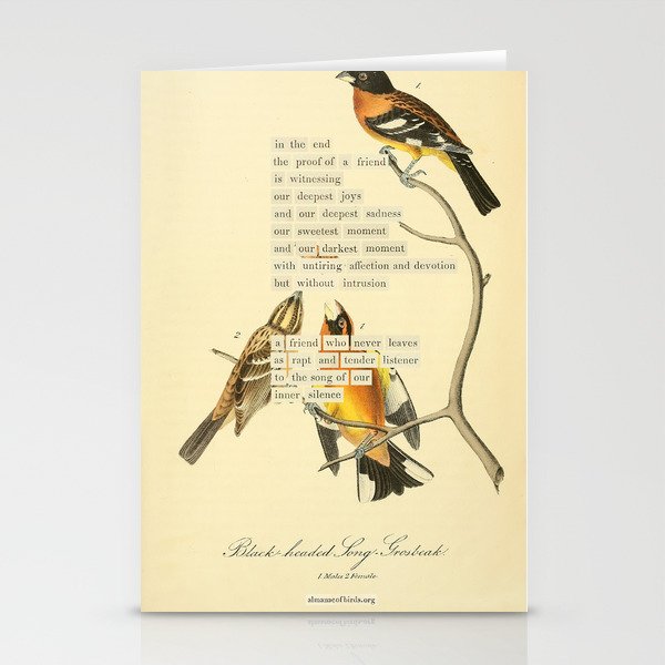Bird Divinations: Black-headed Song-grosbeak (about: almanacofbirds.org)  Stationery Card