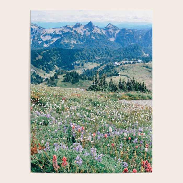 Wildflower Meadow Poster