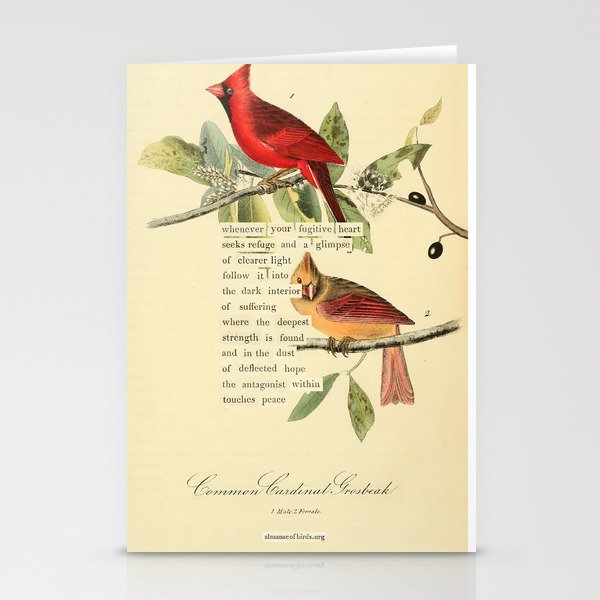 Bird Divinations: Cardinal (about: almanacofbirds.org) Stationery Card