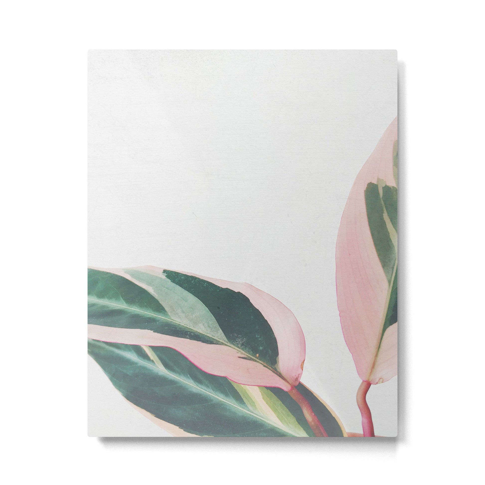 Pink Leaves II Metal Print
