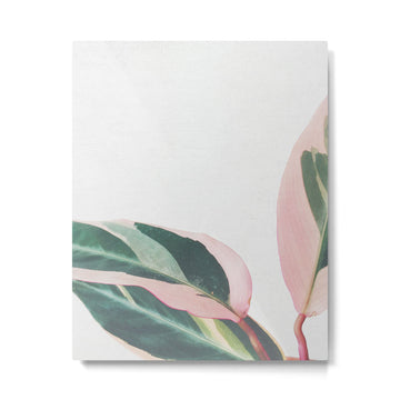 Pink Leaves II Metal Print