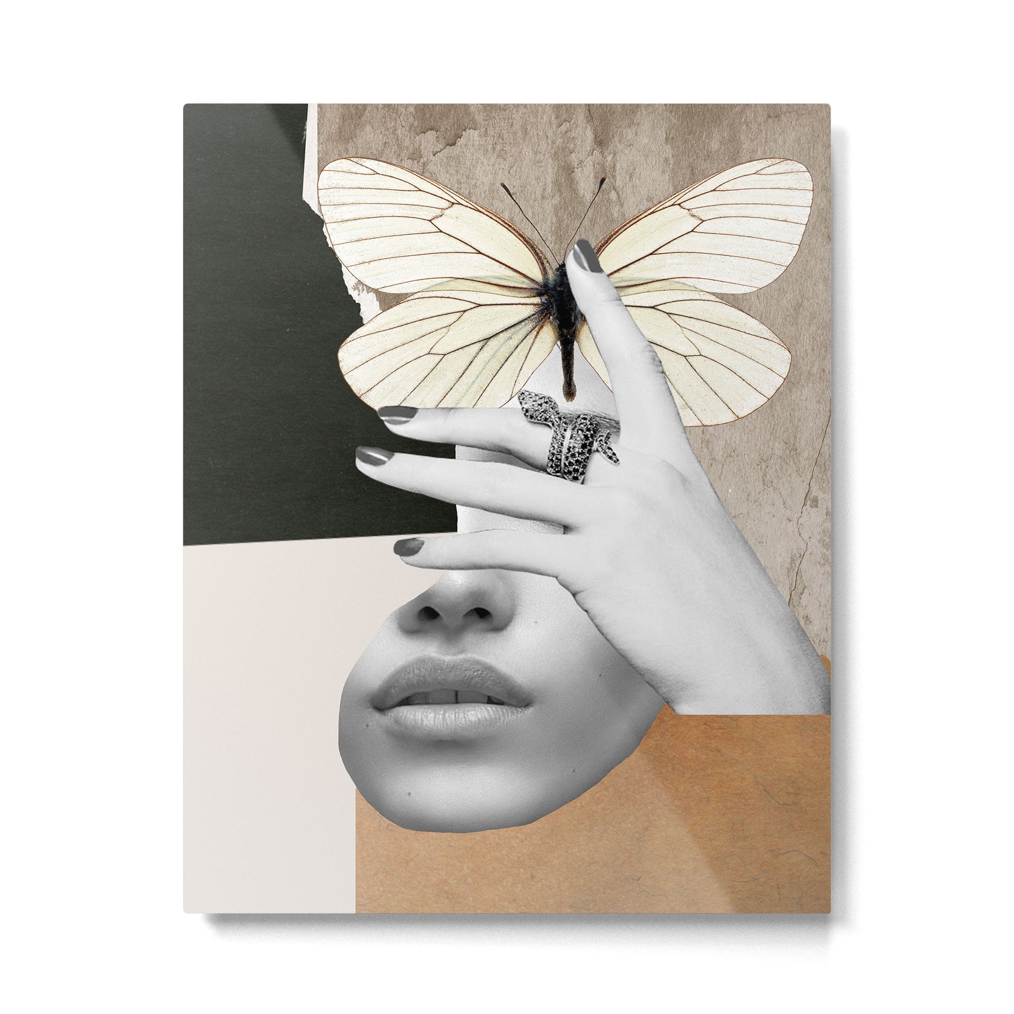 collage art / butterfly 2 Metal Print