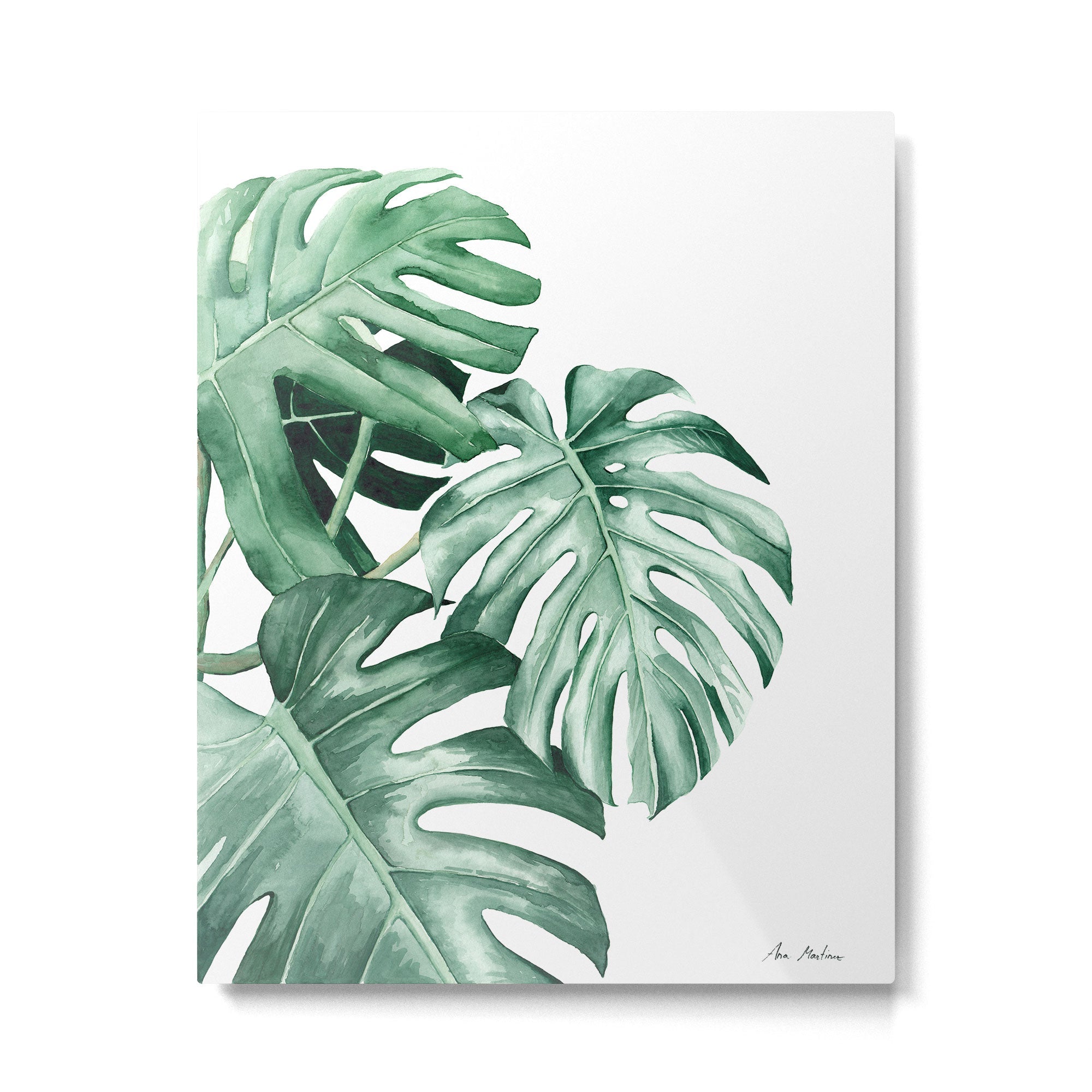 Watercolor monstera leaves Metal Print