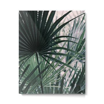 Fan Palms Galore - Tropical Nature Photography Metal Print