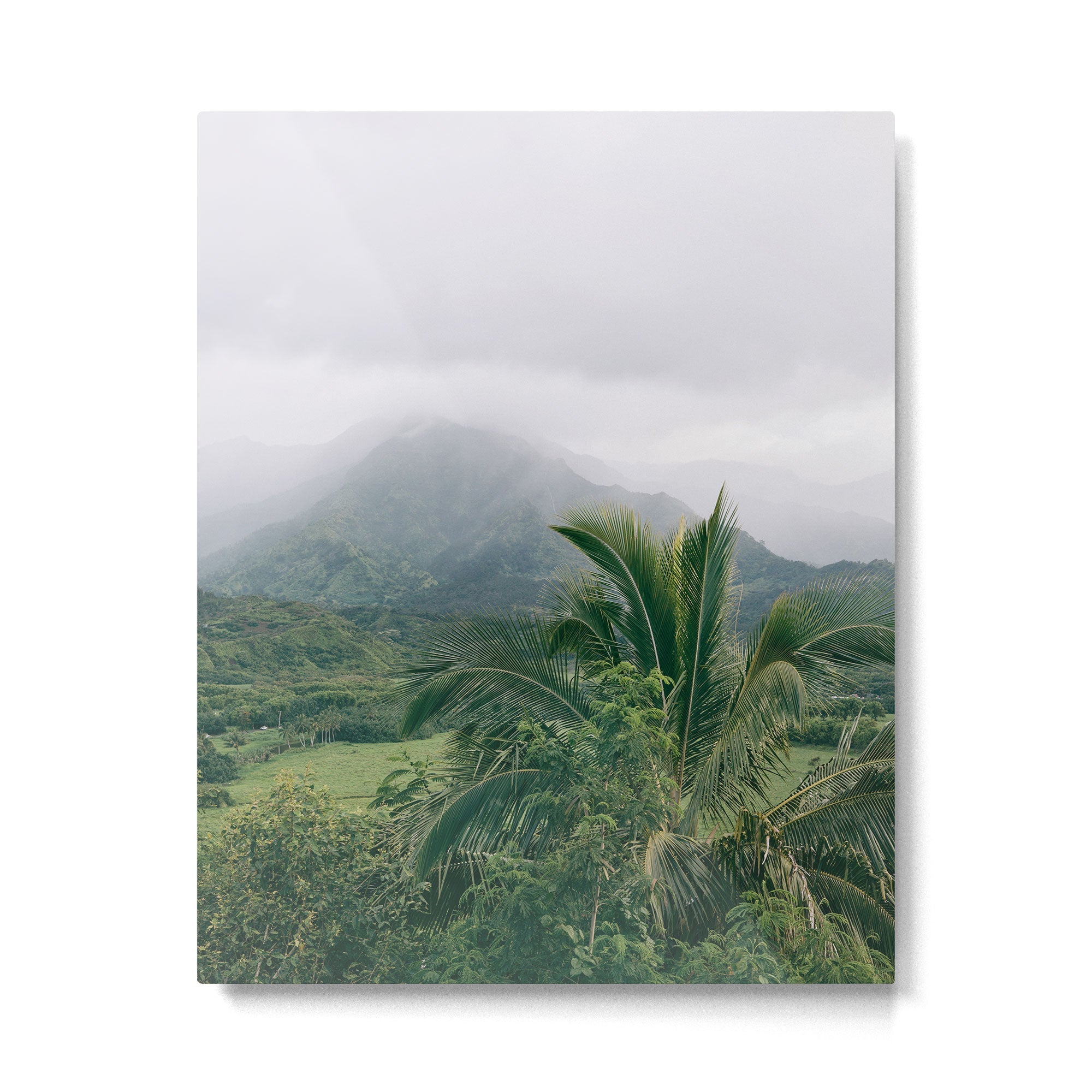 Kauai Hawaii View | Hanalei Valley Landscape Art Print | Nature Travel Photography Metal Print