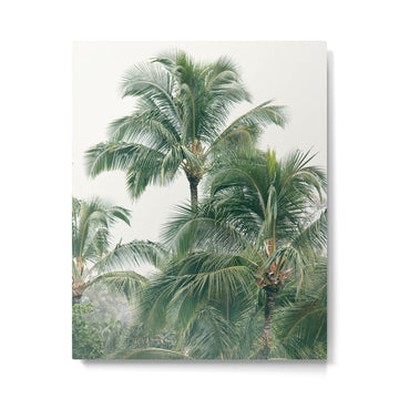 Lush Palm Trees Metal Print