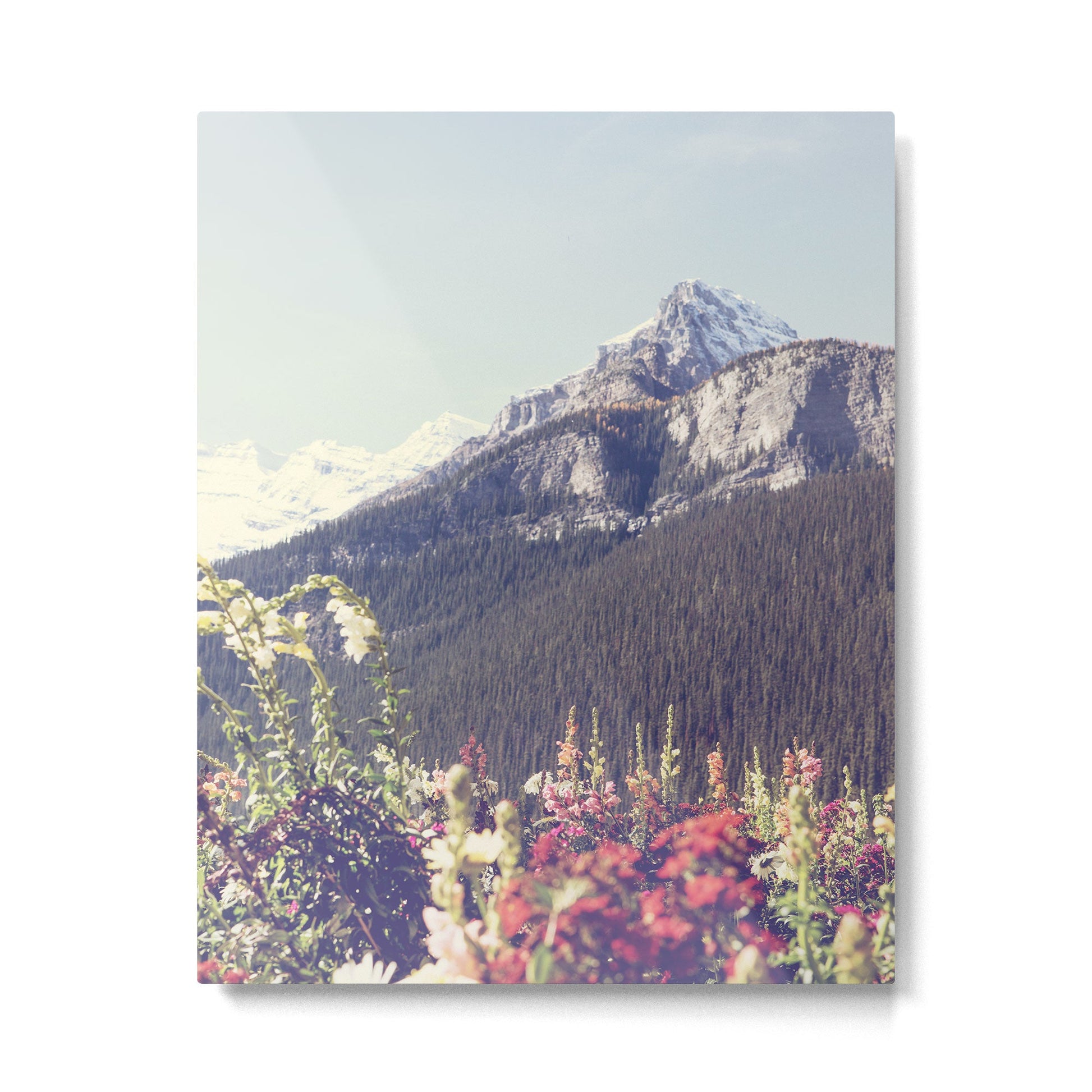 Mountain Wildflowers - Banff Nature, Landscape Photography Metal Print