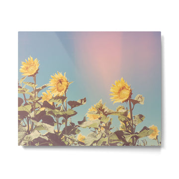 Retro Sunflowers - Nature Photography Metal Print
