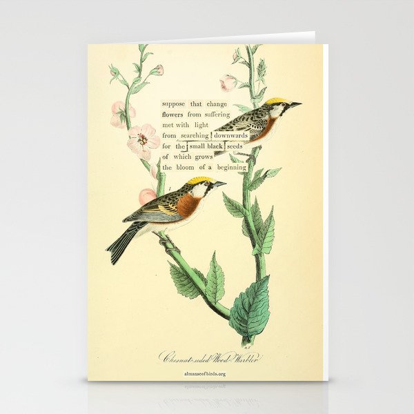 Bird Divinations: Chestnut-Sided Wood Warbler (about: almanacofbirds.org) Stationery Card