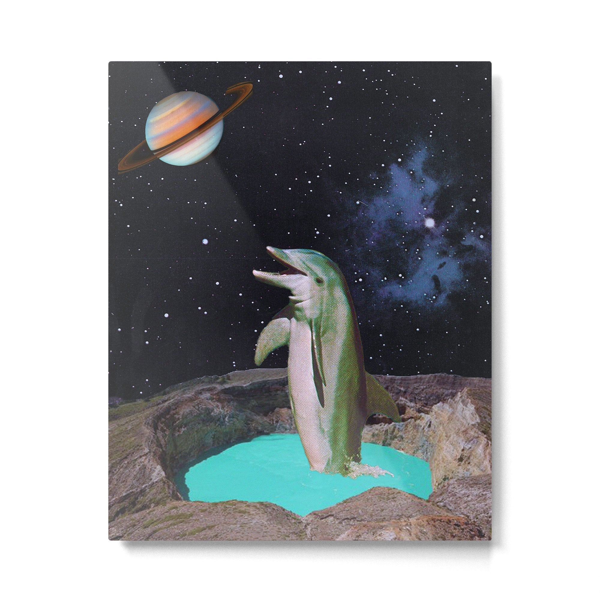 Planet Dolphin Metal Print
