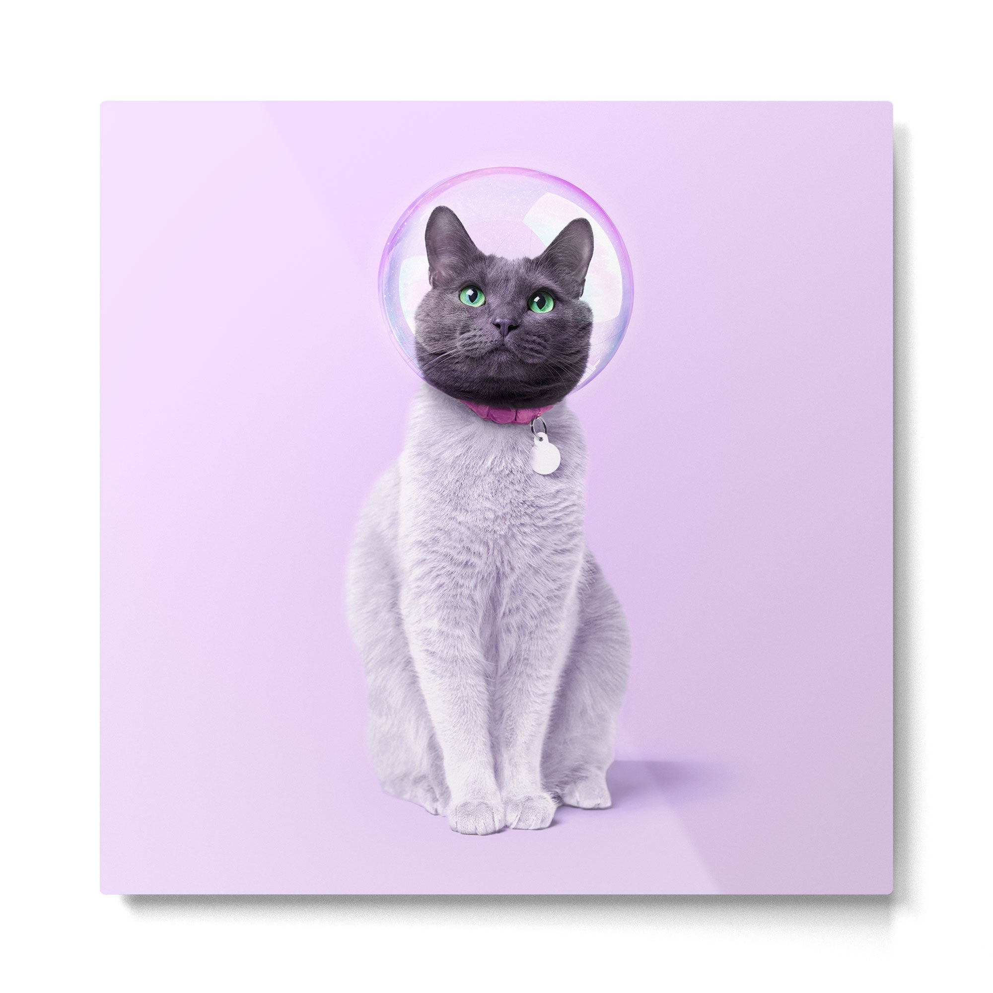 SPACE CAT Metal Print